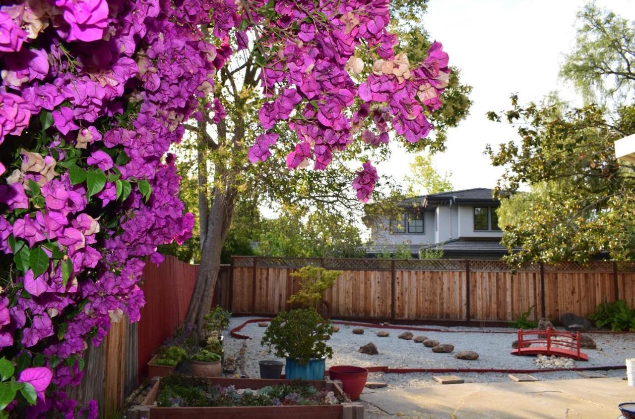 Palo Alto Quiet 1 Bedroom Stanford University Ngoại thất bức ảnh