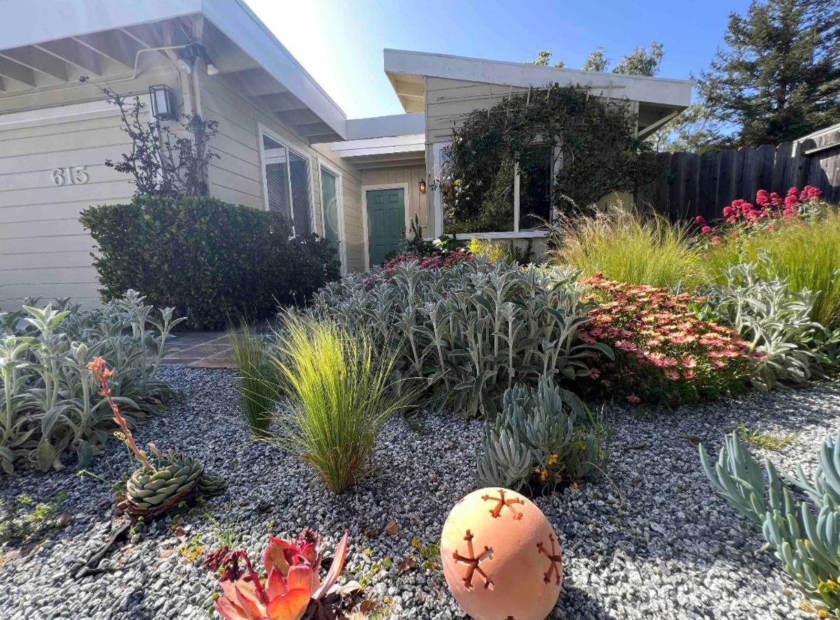 Palo Alto Quiet 1 Bedroom Stanford University Ngoại thất bức ảnh