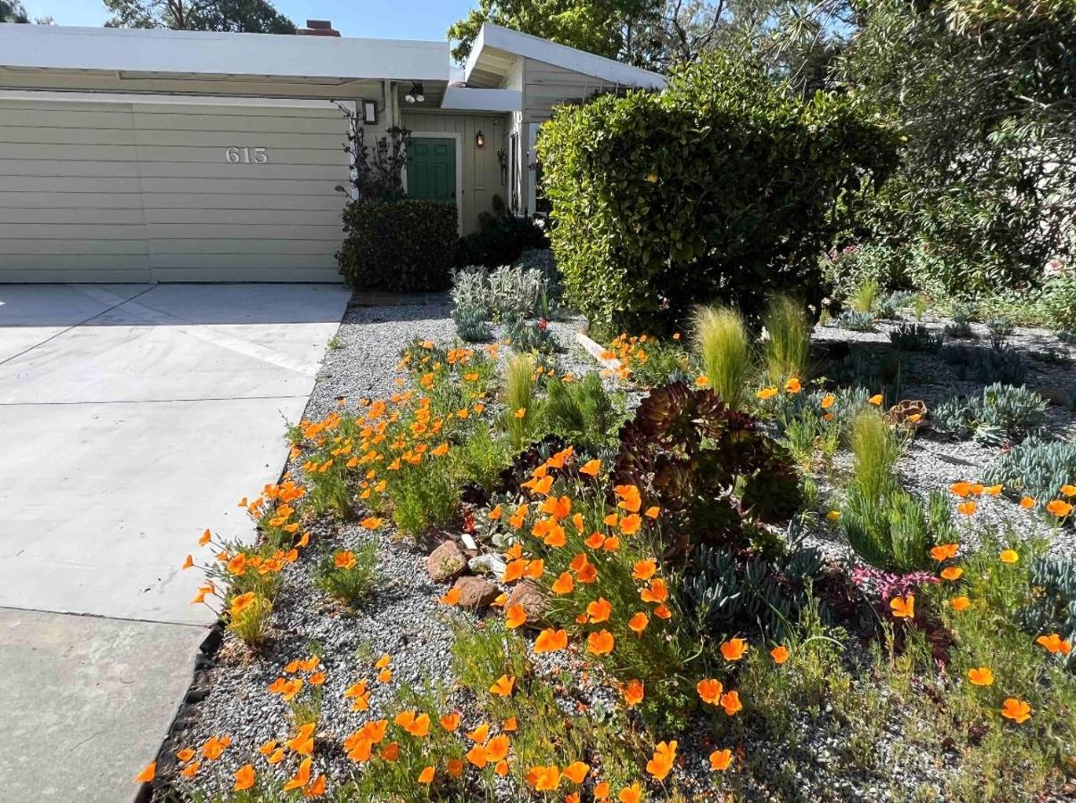 Palo Alto Quiet 1 Bedroom Stanford University Ngoại thất bức ảnh